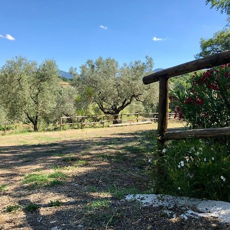 Вилла Il Casolare Degli Alburni Castelcivita Экстерьер фото